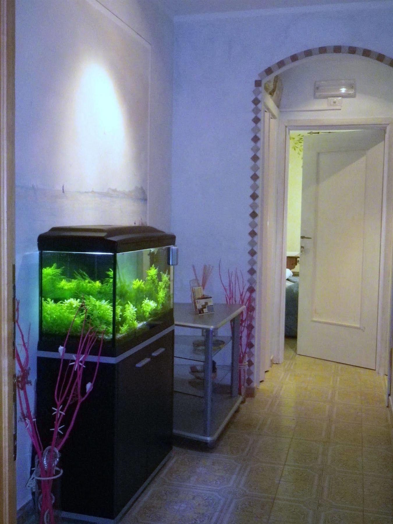 Elisart Guest House Alghero Extérieur photo